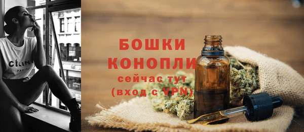 сатива Володарск