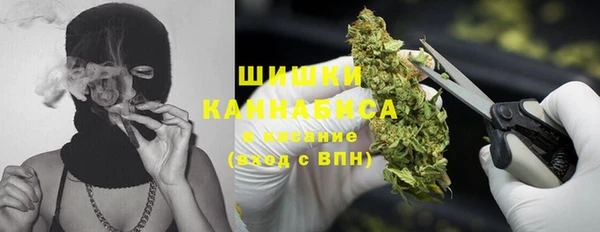 сатива Володарск