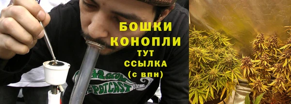 сатива Володарск