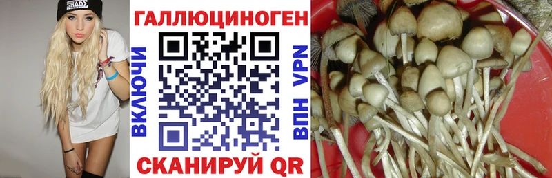 Псилоцибиновые грибы Psilocybe  как найти закладки  omg как зайти  Нижний Новгород 